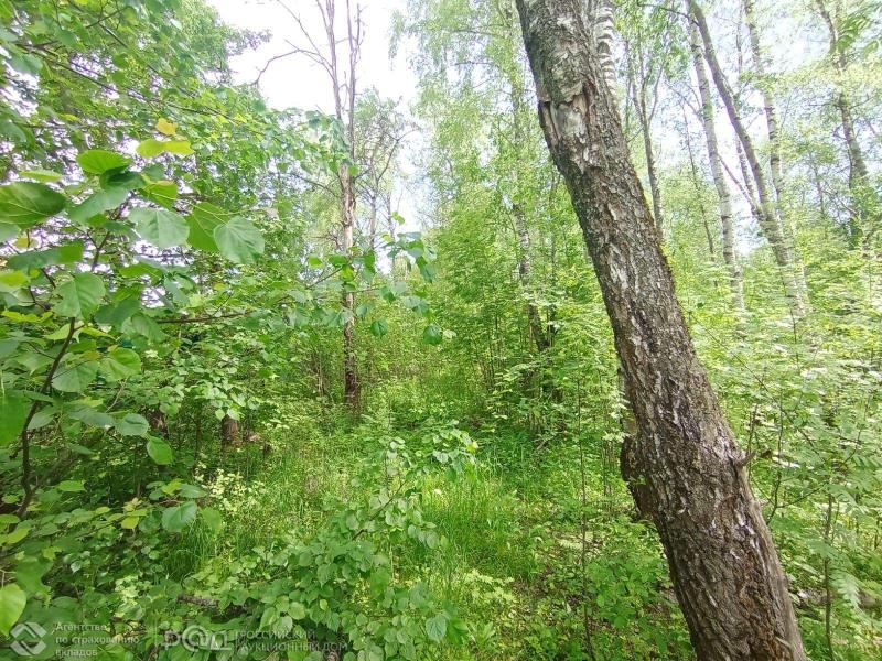 Земельный участок, Московская область, дер. Красный Посёлок, 7. Фото 1