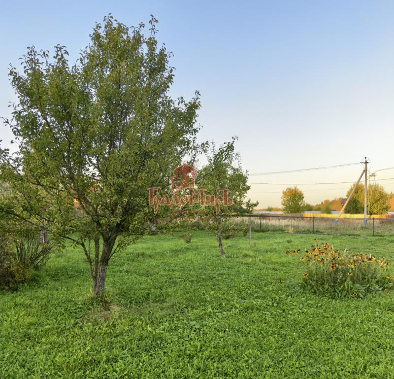 Земельный участок, Московская область, дер. Голенищево. Фото 1