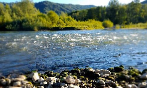 Земельный участок, 18 га., Садоводство