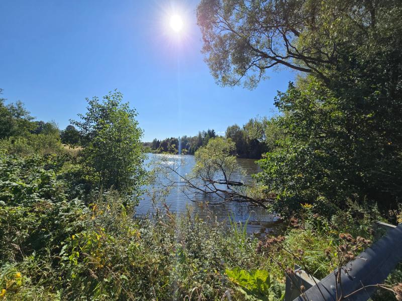 Земельный участок, Московская область, коттеджный пос. Спайк, 147А. Фото 1