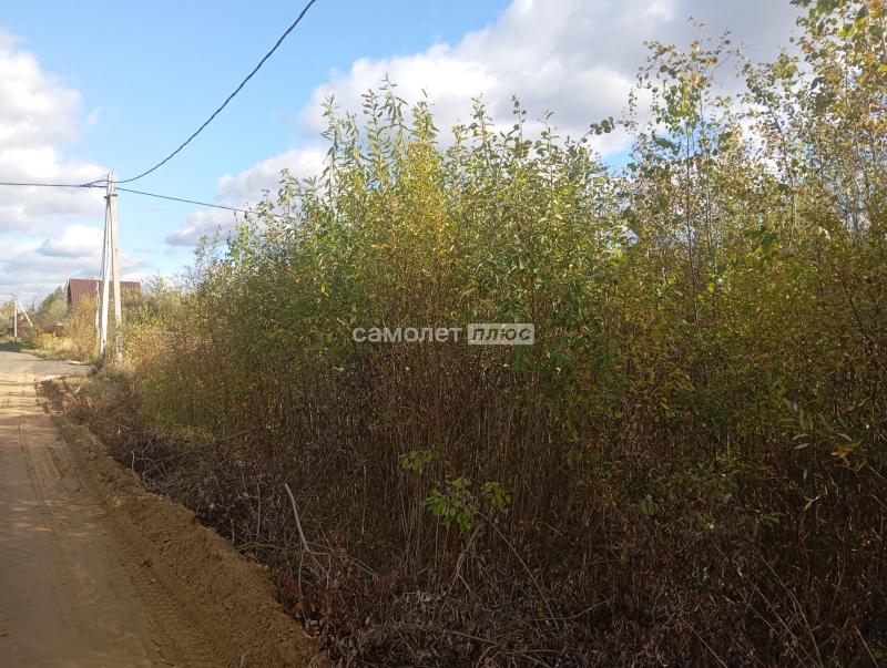 Земельный участок, Московская область, Электрогорск, Тихая улица, 12. Фото 5