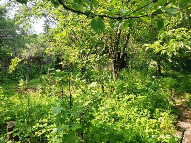 Земельный участок, 4.6 сот.