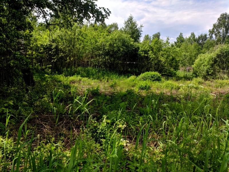 Земельный участок, 6 сот.