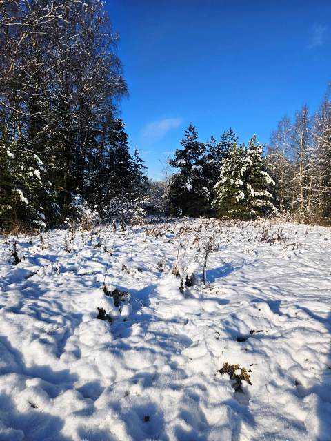 Земельный участок, 9 сот.