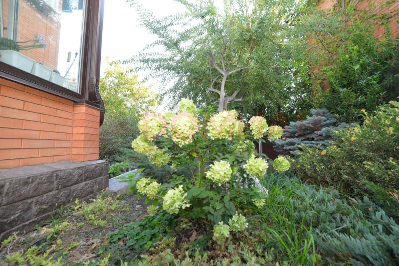 Земельный участок, 6.1 сот., ИЖС