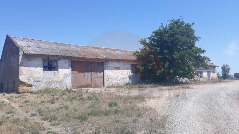 Торговая площадь, 301 м²