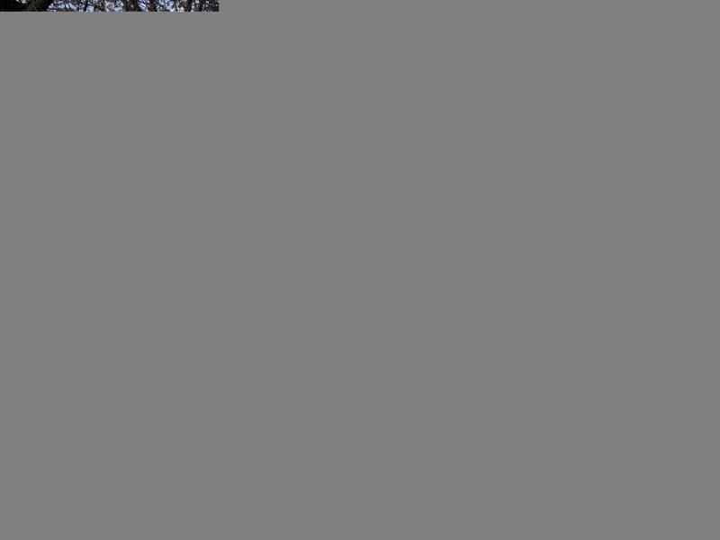 Торговая площадь, Челябинская область, Челябинск, Советский р-н, ул. Блюхера, 2Б. Фото 1