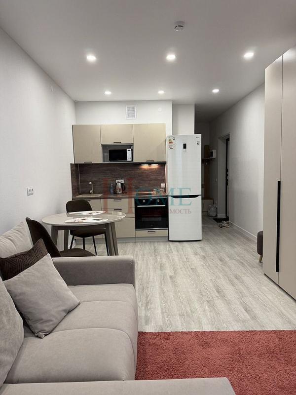 Квартира-Студия, 29 м², 13/15 этаж