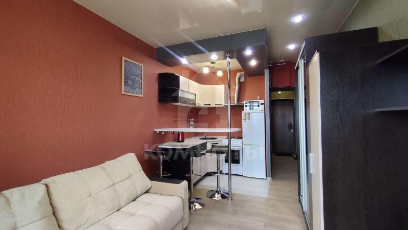 Квартира-Студия, 22 м², 10/17 этаж