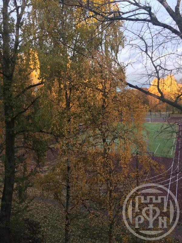 2-комн. квартира, 45 м², 4/5 этаж