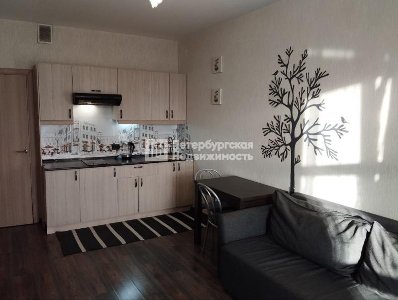 Квартира-Студия, 26 м², 13/16 этаж