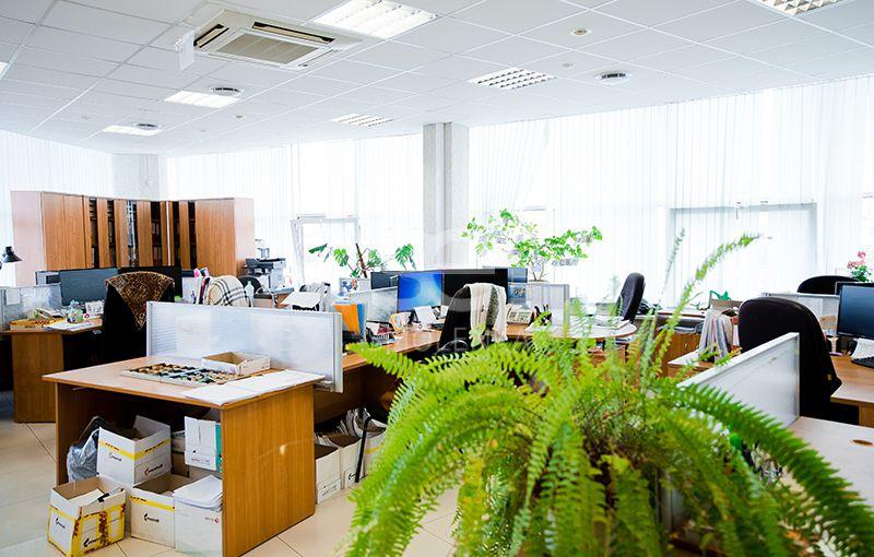 Офис, 135 м²
