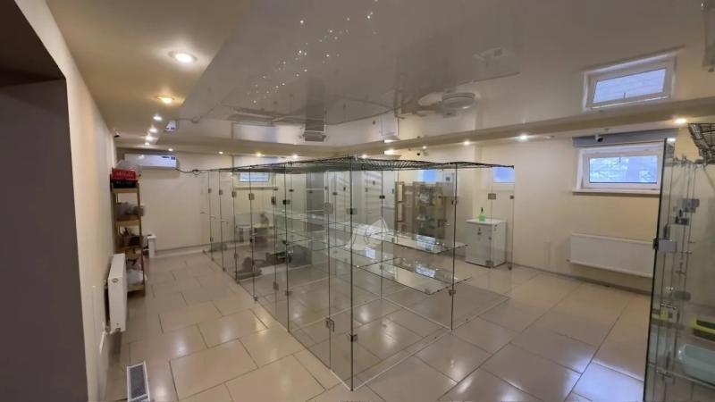 Торговая площадь, 267 м²