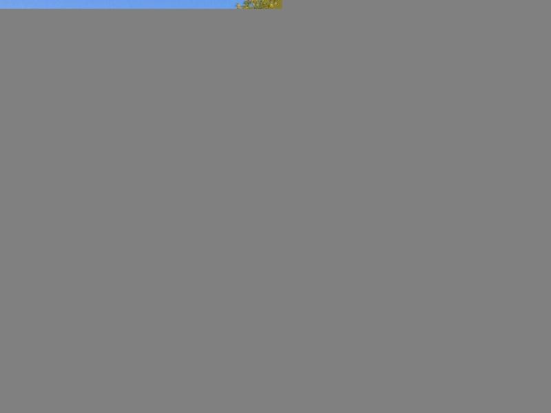 ПСН, Челябинская область, Челябинск, Советский р-н, ул. Крупской, 46. Фото 1